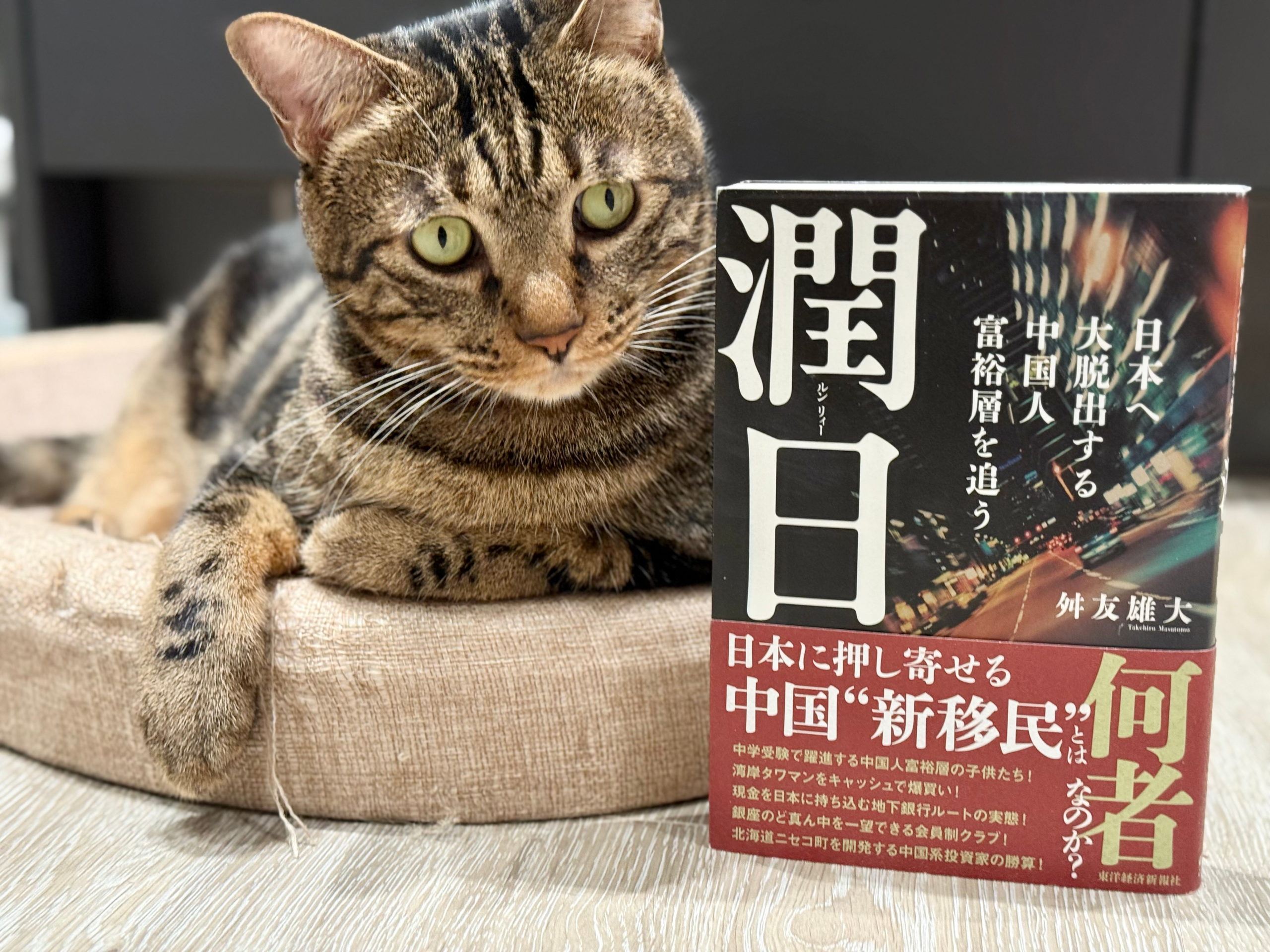《潤日》：日本學者對中國移民潮的觀察報告