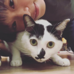 李又如